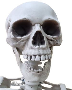 Horror Kult Skelett Bony XL 1,6 Meter