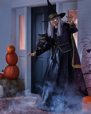 Spooky Witch Hazel mit Nachteule Emily