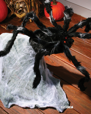 Jumping venom giant spider horror shocker